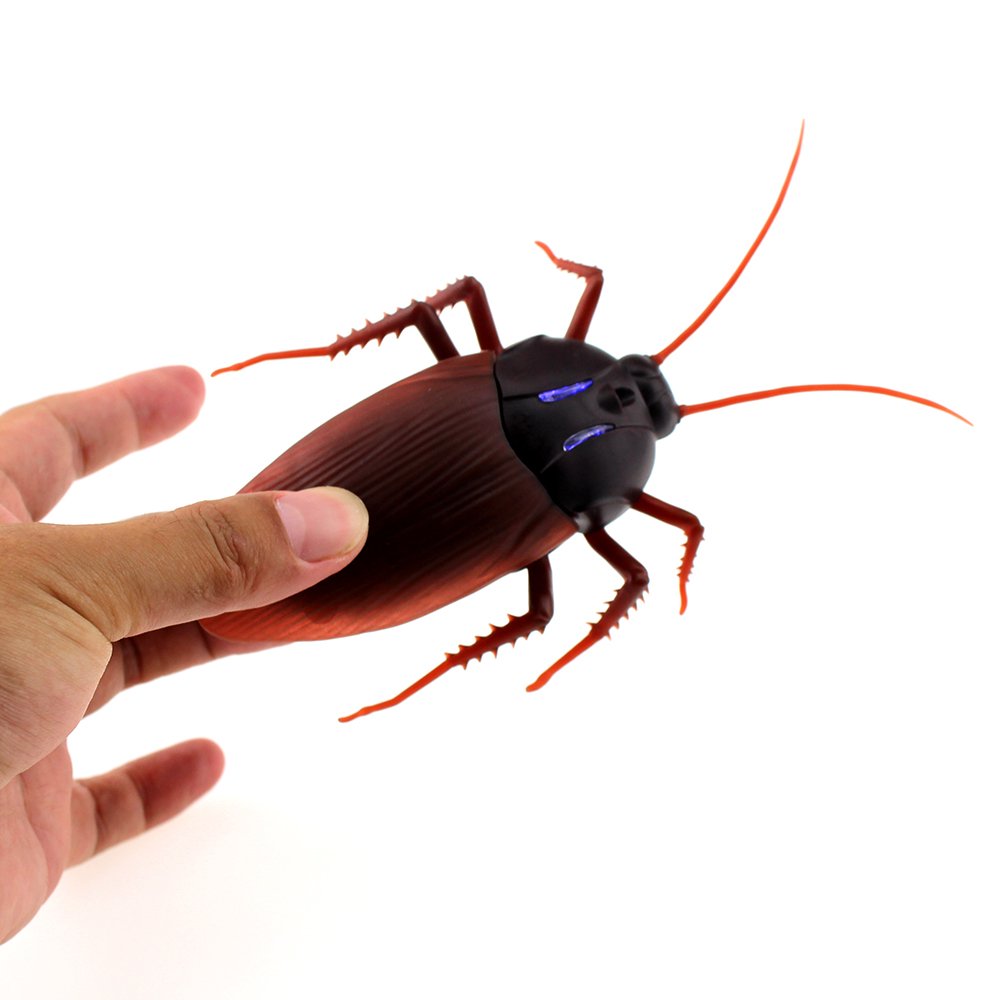 Tipmant RC Cockroach six-to-eight-meter range offers flexible control