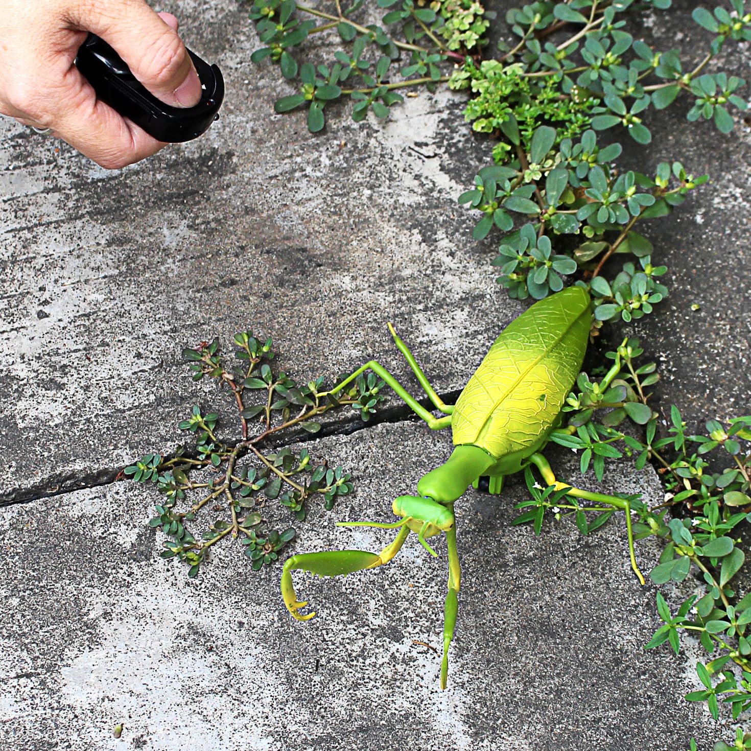 Tipmant RC Praying Mantis batteries and compartments shown for quick setup.