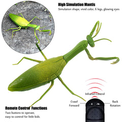 Tipmant RC Praying Mantis in crawling action showing lifelike motion for curious kids.