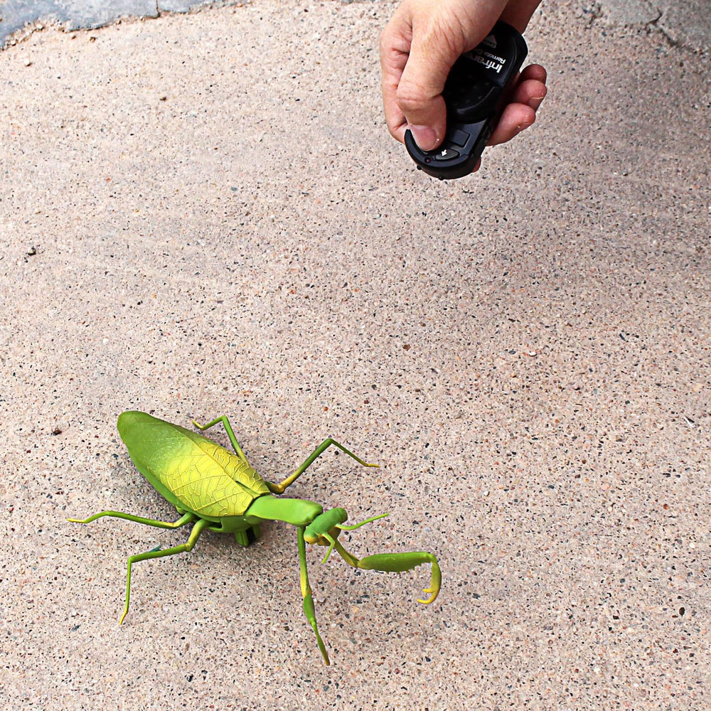 Tipmant RC Praying Mantis with LED headlight for dramatic indoor play.