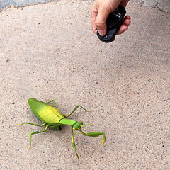 Tipmant RC Praying Mantis with LED headlight for dramatic indoor play.