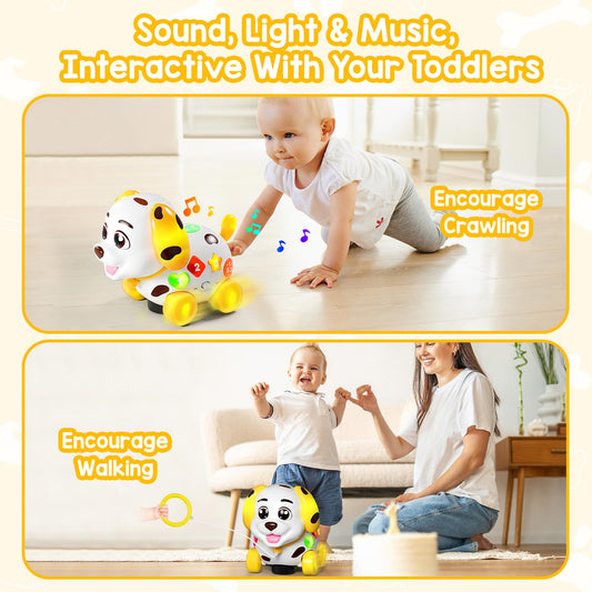 ToddlerCley puppy toy showing lights and sounds to attract babies.
