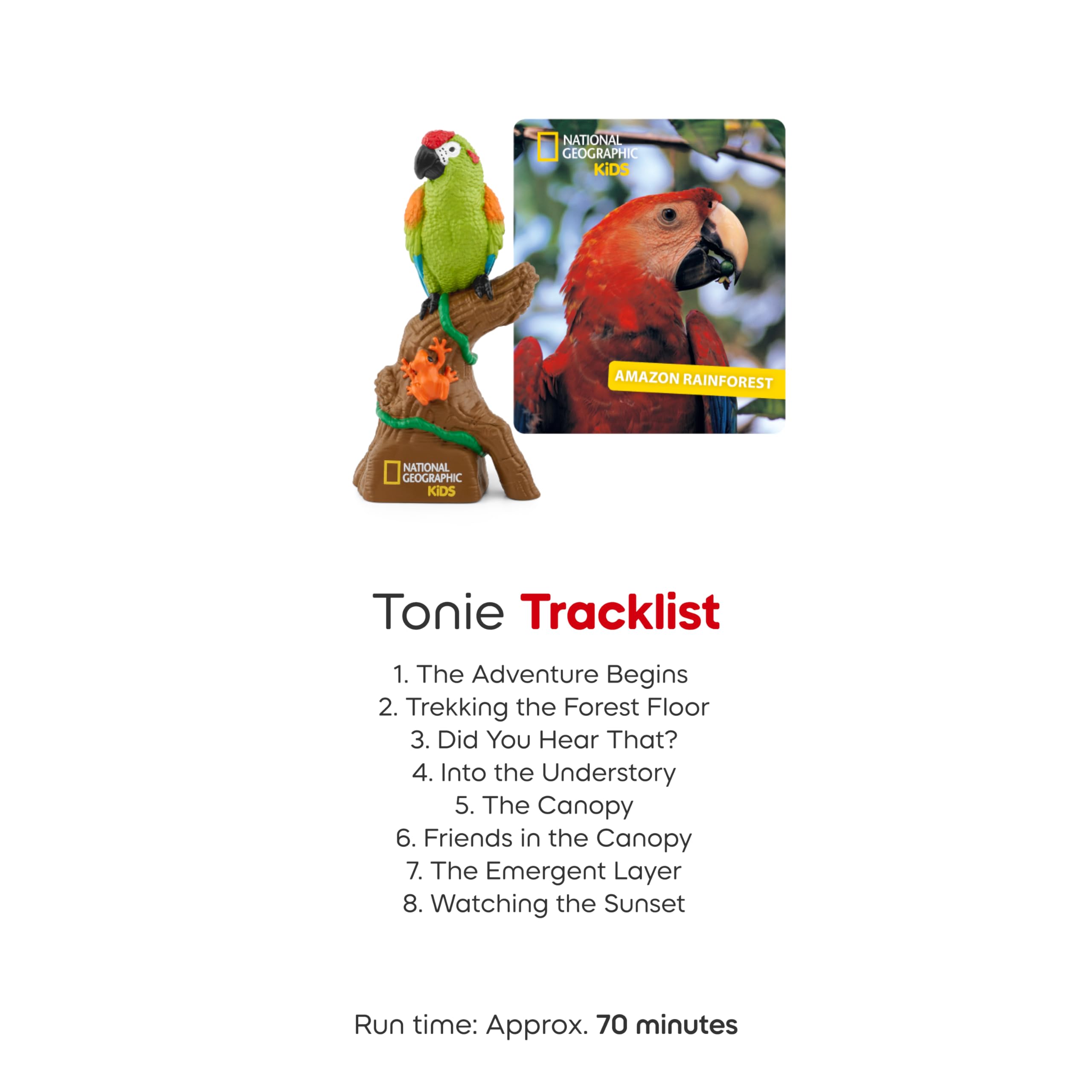 Tonies Amazon Rainforest forest-floor path invites discovery through audio adventures.