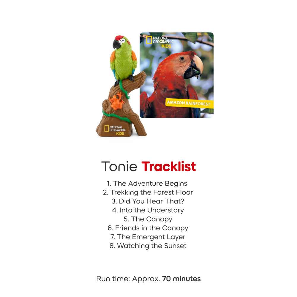 Tonies Amazon Rainforest forest-floor path invites discovery through audio adventures.