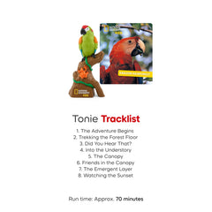 Tonies Amazon Rainforest forest-floor path invites discovery through audio adventures.