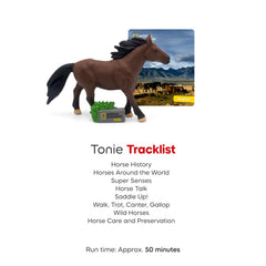 Tonies horse care and riding themes illustrated for learning and play.