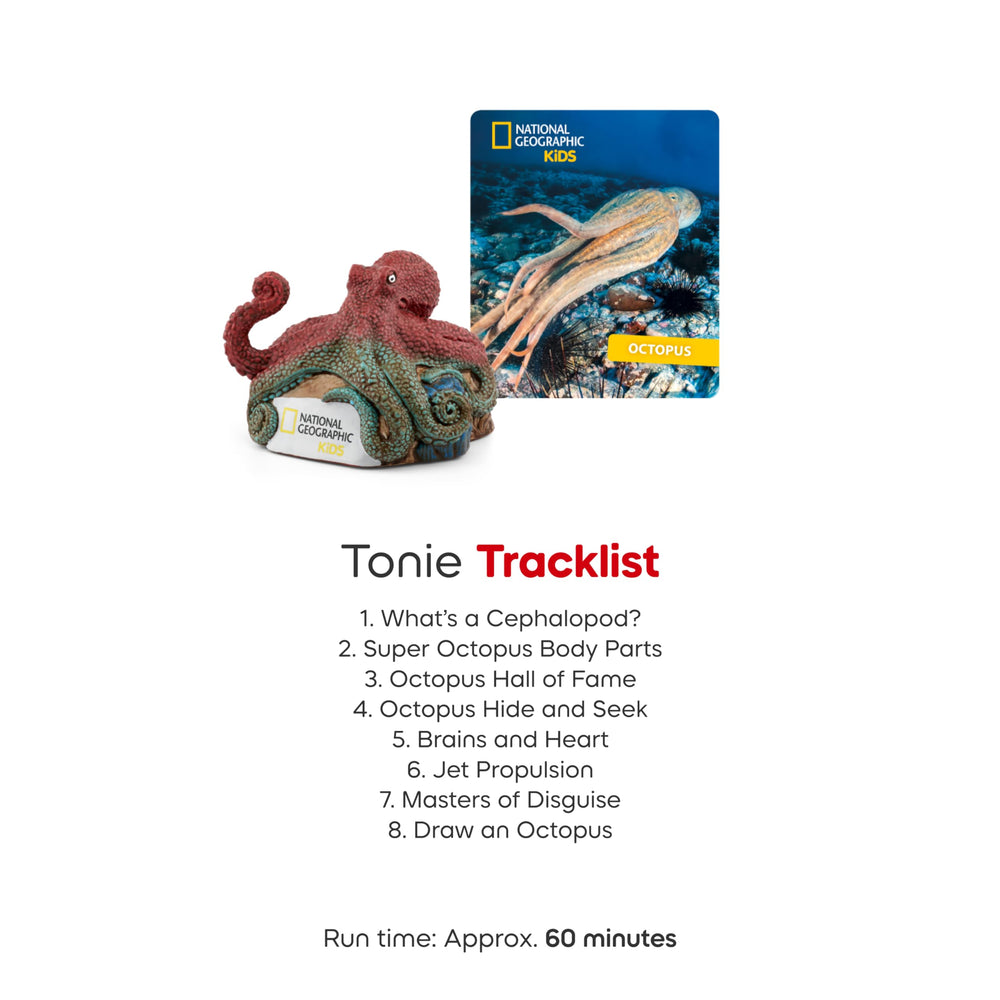 Brains and heart segment sparks curiosity about octopus biology.