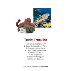 Brains and heart segment sparks curiosity about octopus biology.