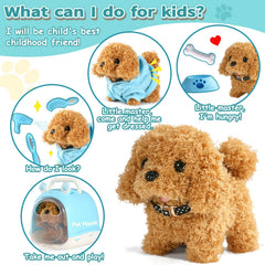 TONZE puppy carrier accessory set enables portable play and grooming on the go.