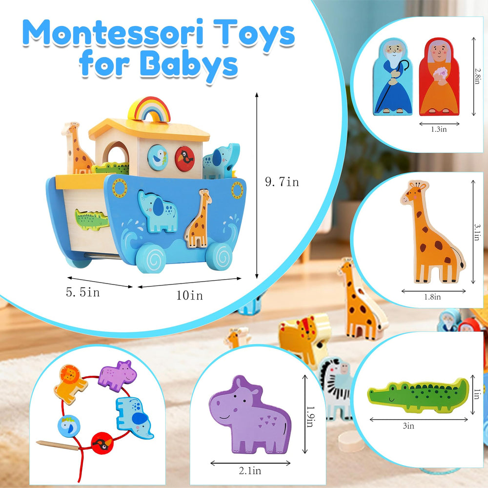 Tooysea Noah’s Ark smooth finish ensures comfortable, safe handling.