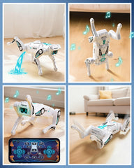 TOPMVP dog with rechargeable batteries for longer sessions.