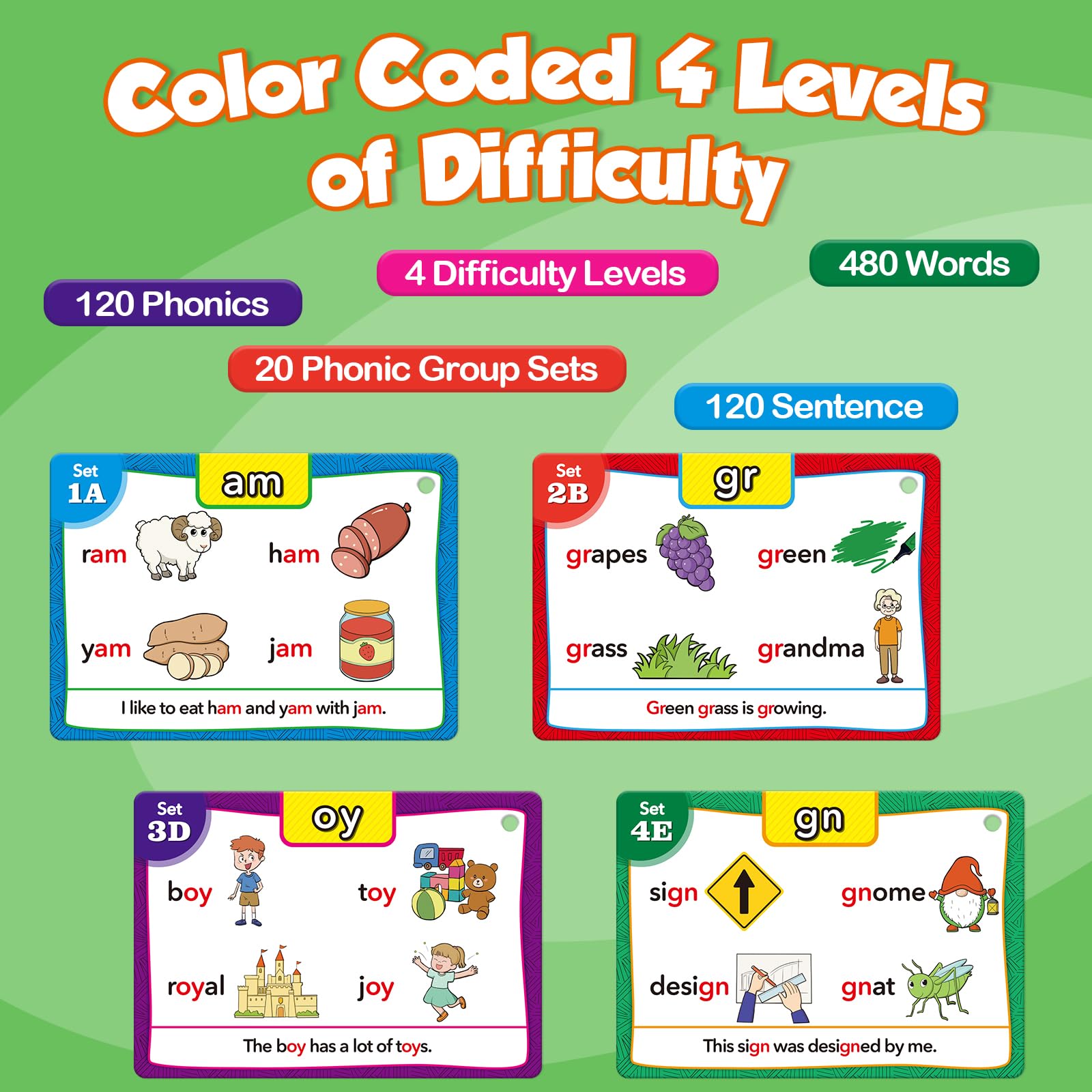 Torlam Phonics Flash Cards include four colored rings for easy classification.