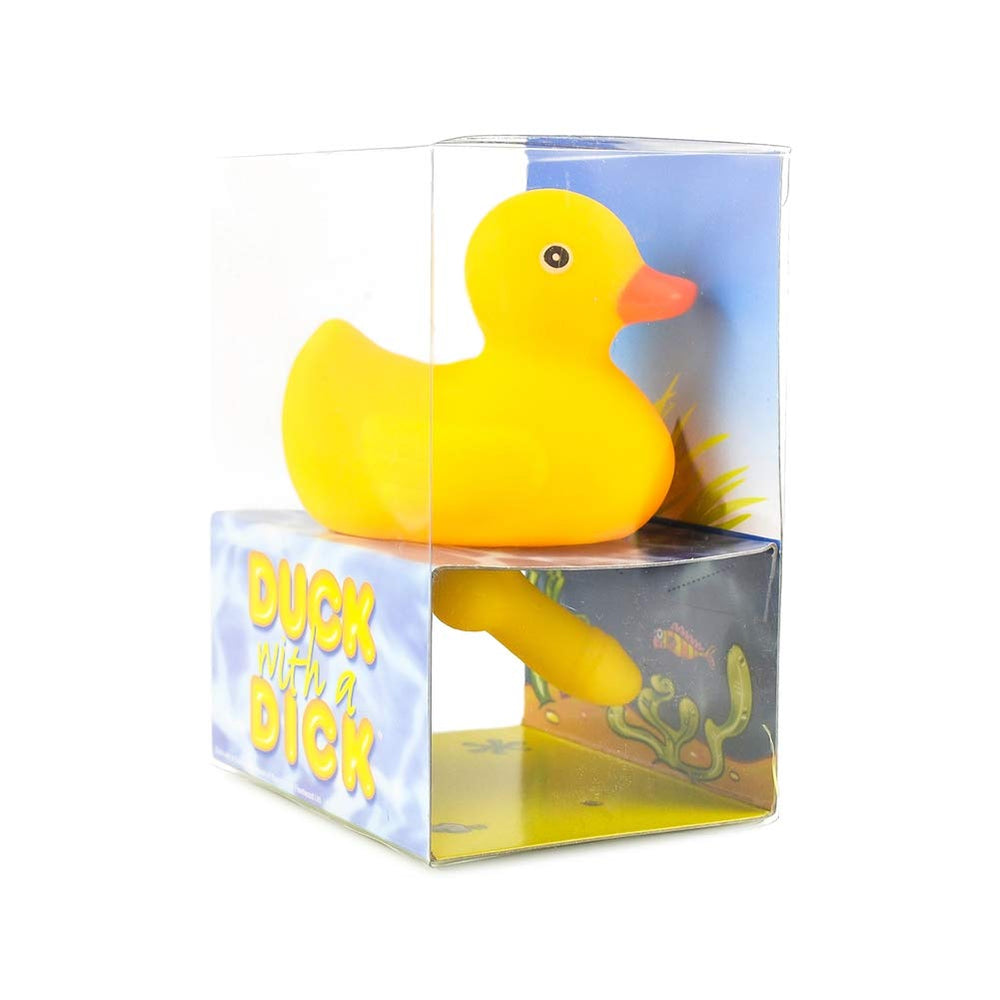 Totmizby GHI Duck close-up eyes adds character to rooms