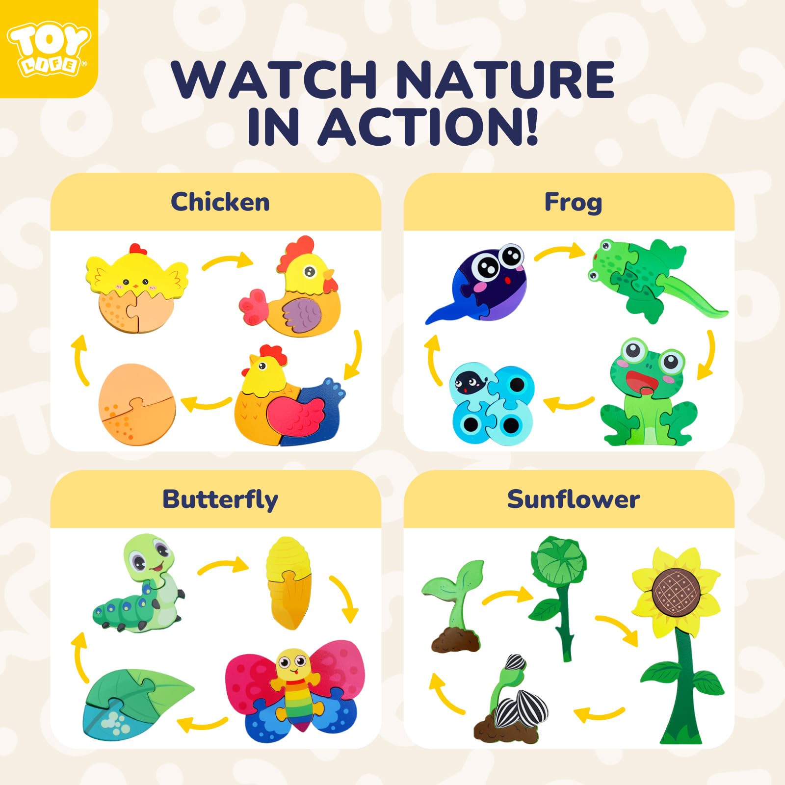 TOY Life Life Cycle Puzzle frog image supports hands-on learning about metamorphosis.
