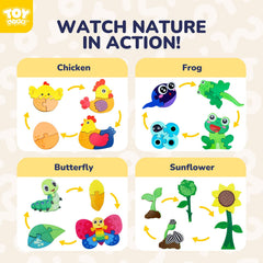 TOY Life Life Cycle Puzzle frog image supports hands-on learning about metamorphosis.
