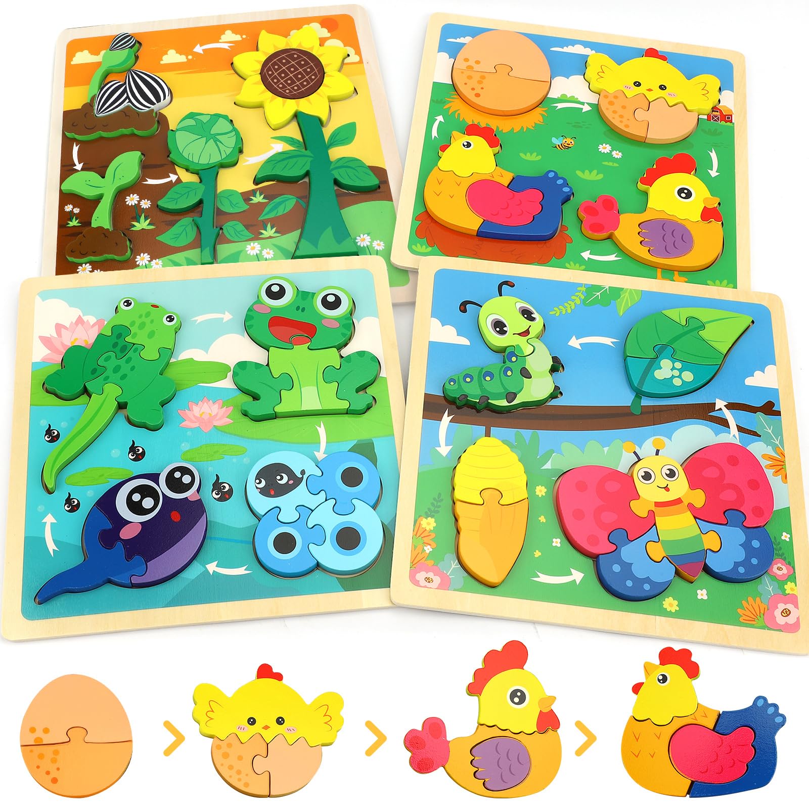 TOY Life Life Cycle Puzzle sunflower scene promotes early science exploration.