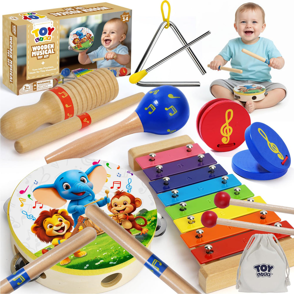 TOY Life tambourine-focused instrument set boosts toddler rhythm exploration.
