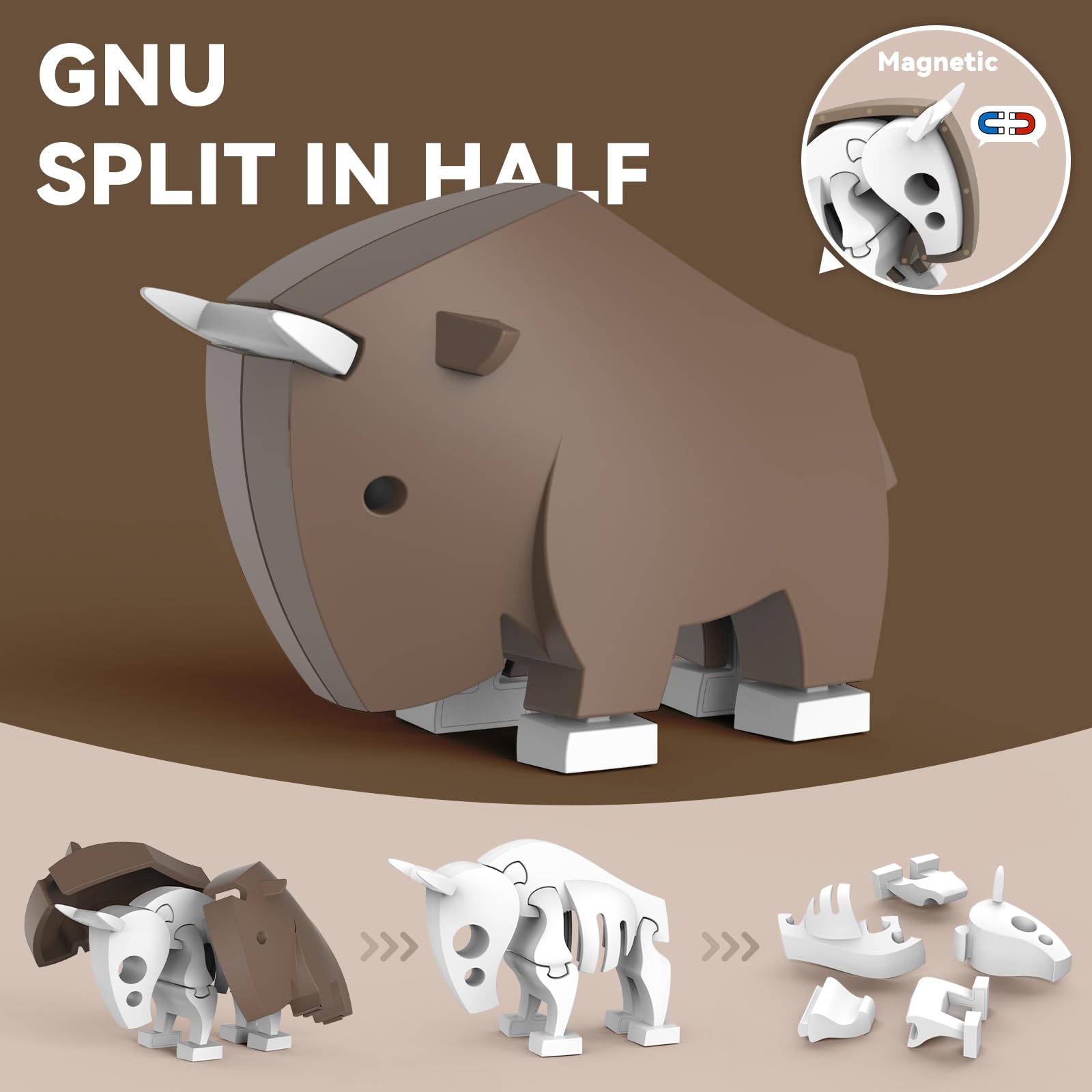 Toycost magnetic lion bone-structure enhances tactile learning