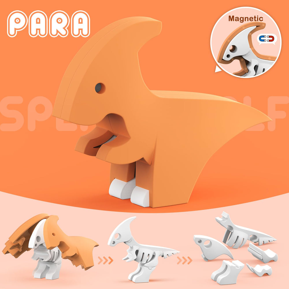Toycost split-design close-up reveals the internal bone structure during hands-on play.