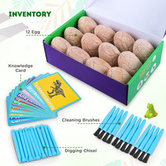 Toyk Dig Up Dinosaur Eggs tools included for careful excavation.