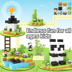 Toylogy Gift Box Panda Edition presents a ready-to-gift panda learning set.