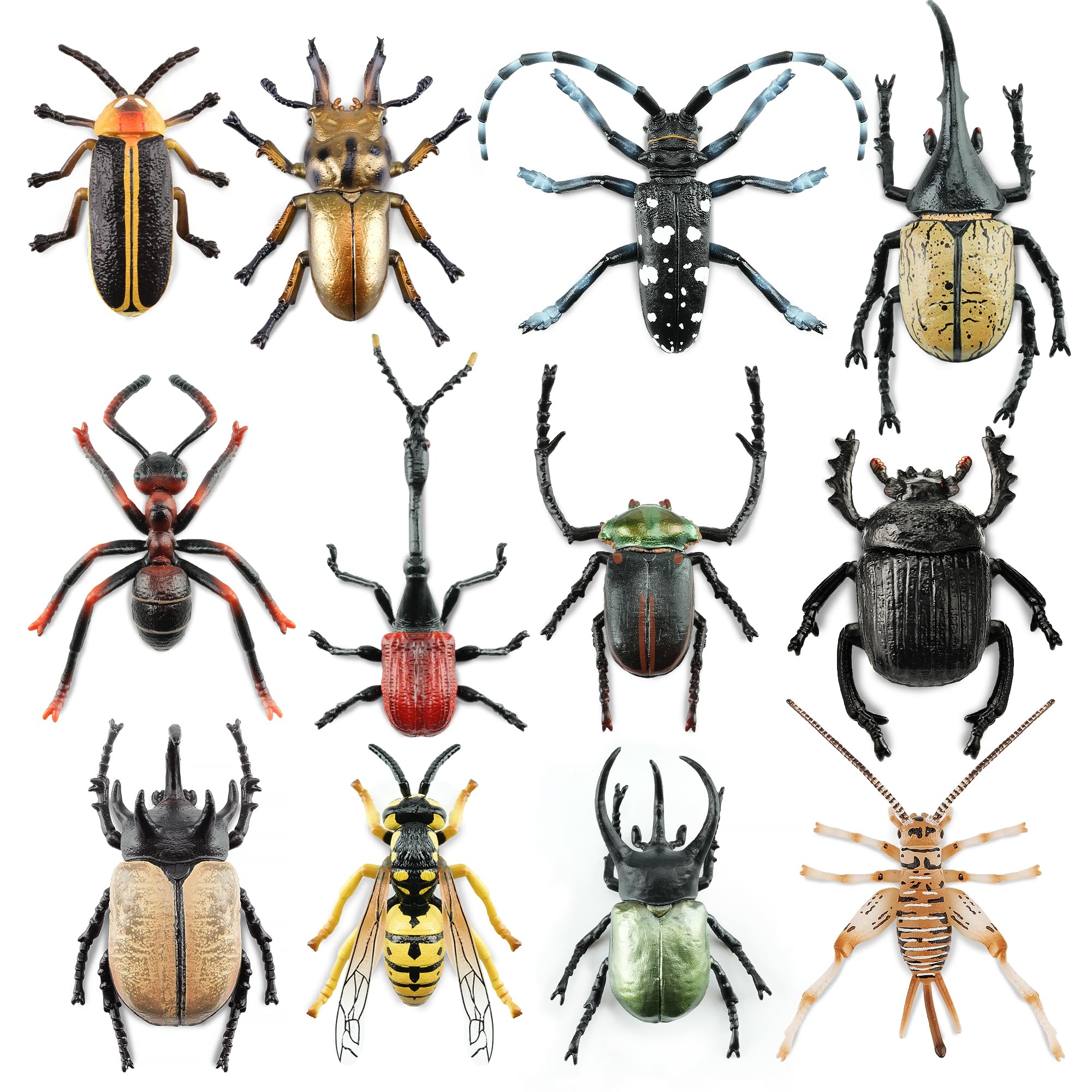 Toymany 12pcs realistic insects set showing detailed miniatures for education and play