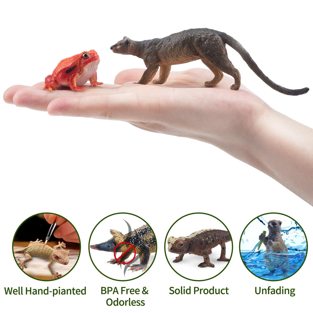 Toymany fossa figurine inspires imaginative predator tales and display.