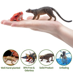 Toymany fossa figurine inspires imaginative predator tales and display.