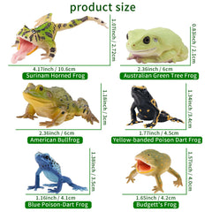 Toymany frog toy figures Argentine Horned Frog for educational displays