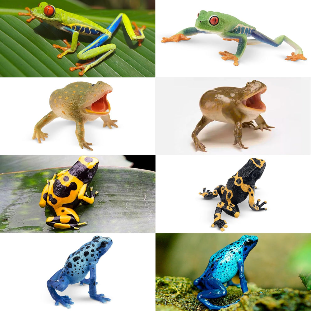 Toymany frog toy figures Red-eyed Tree Frog for terrarium-inspired decor
