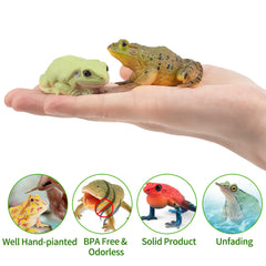 Toymany frog toy figures Strawberry Poison Dart Frog for bright accents