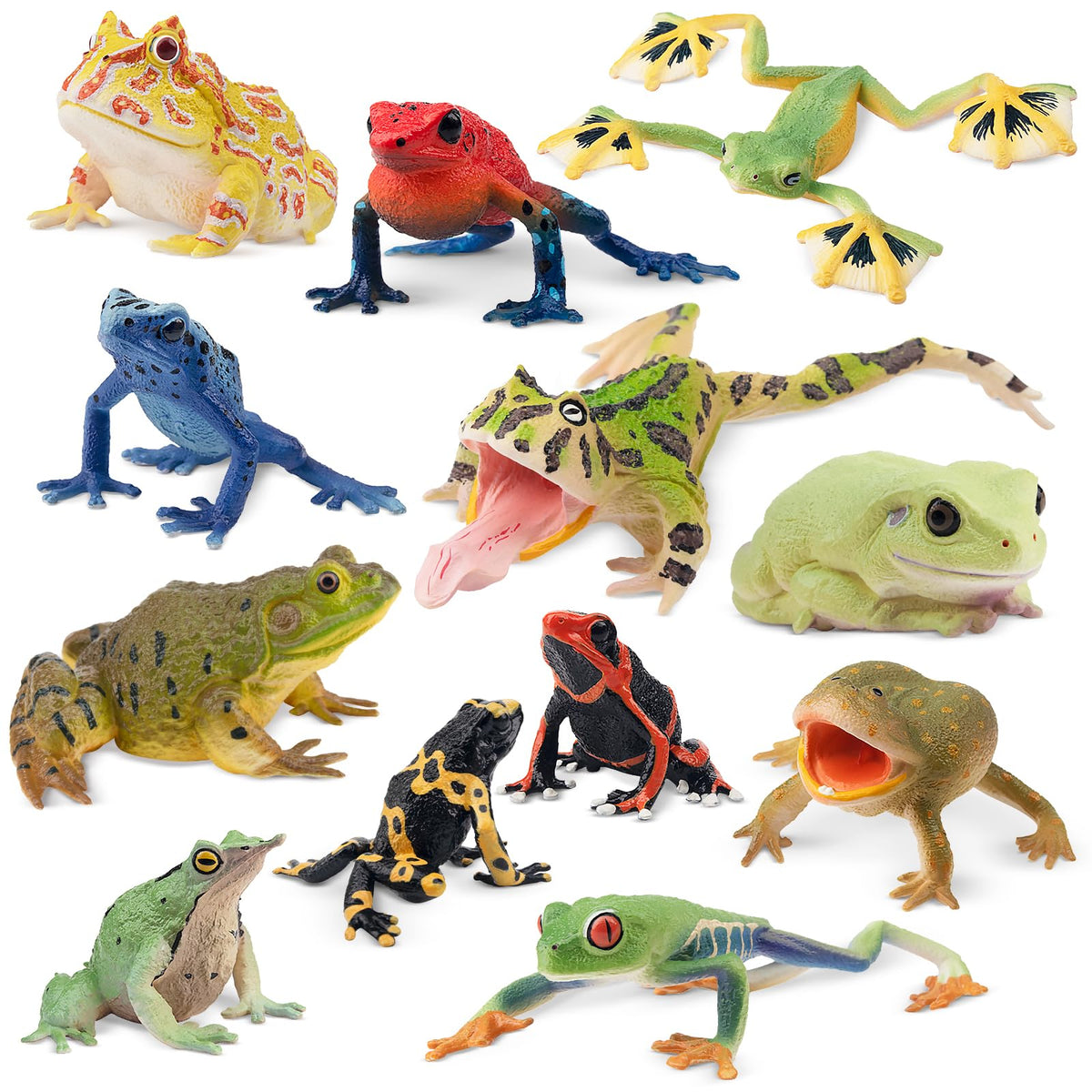 Toymany frog toy figures Surinam Horned Frog for vivid shelf display