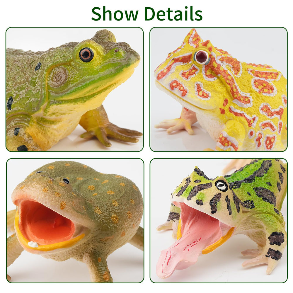 Toymany frog toy figures Wallace's Flying Frog for classroom dioramas