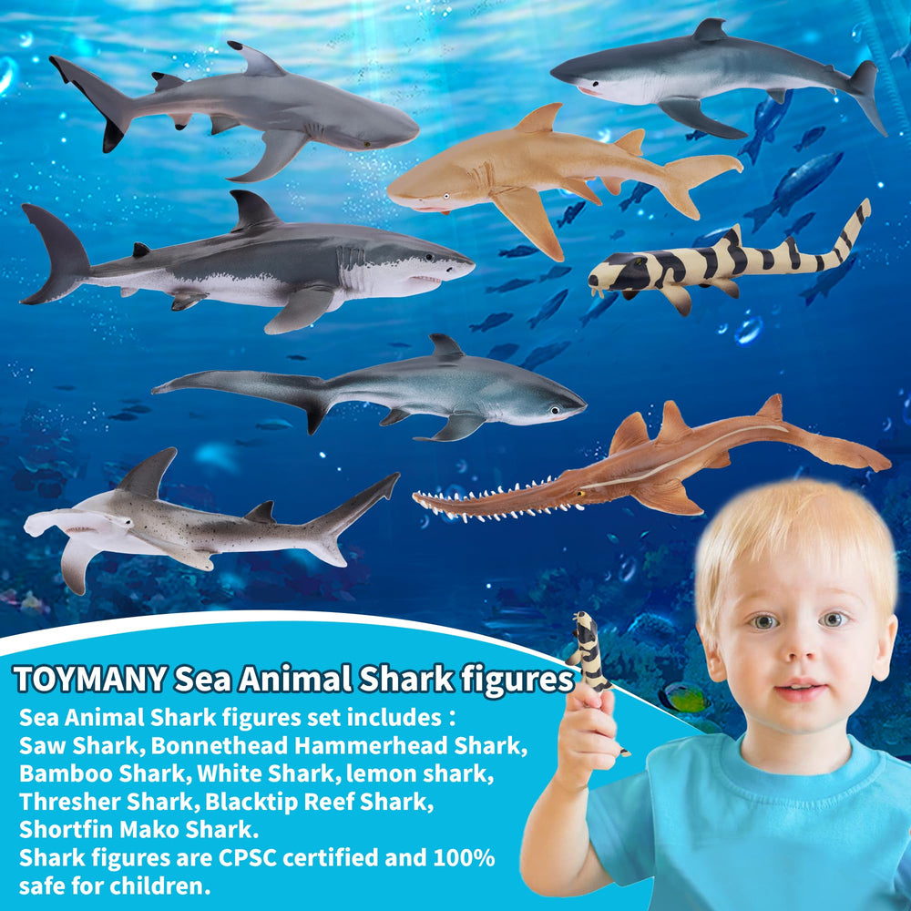 Toymany Great White Shark figurine for educational storytelling and bath fun