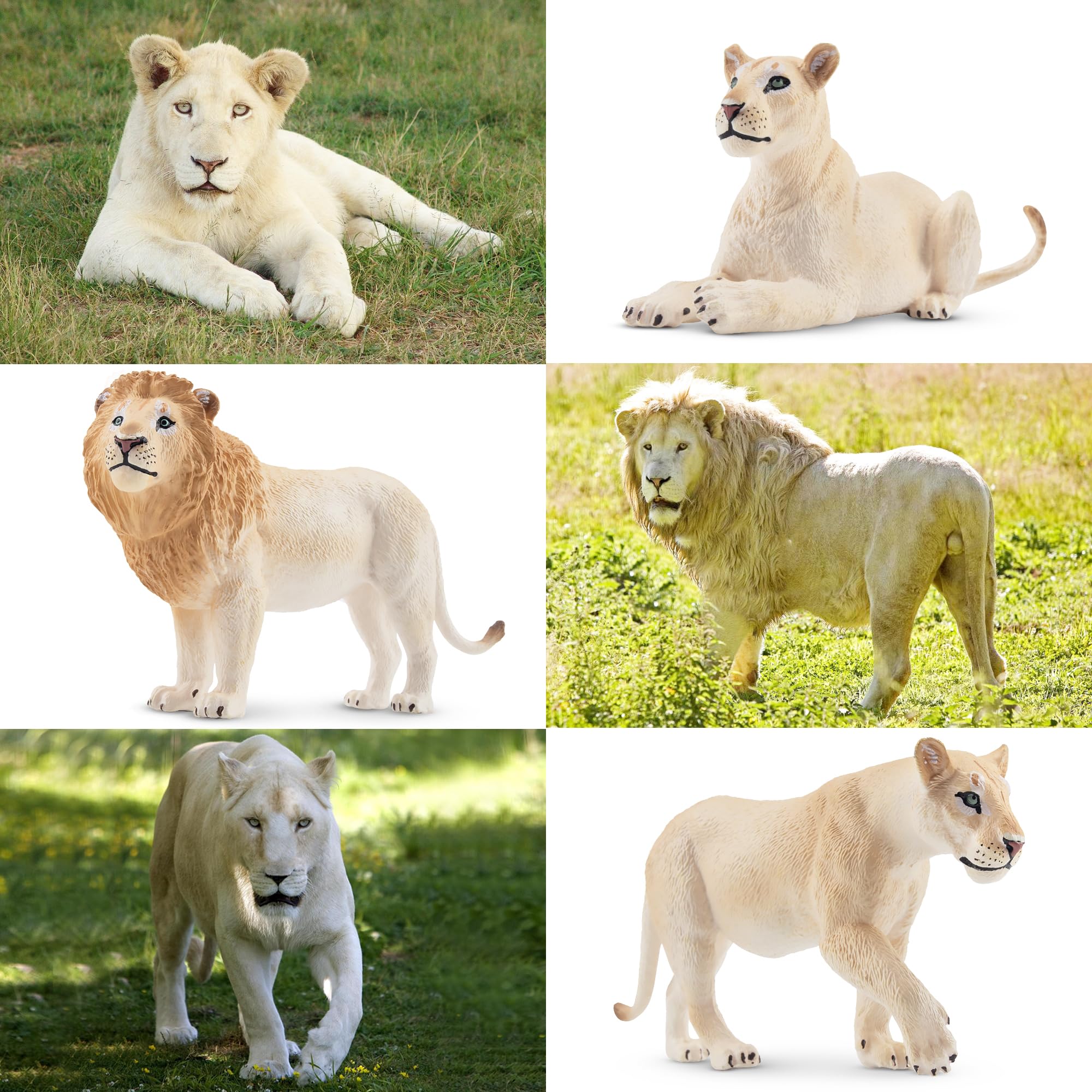 Toymany lion family playset packaging ready for gift-giving.