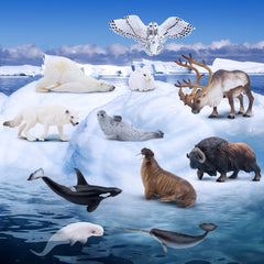 Toymany walrus figure inspires ocean themed exploration during play