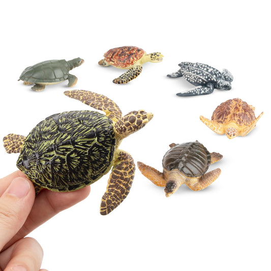 Toymany sea turtle figurines teal display sturdy bases for tabletop storytelling.