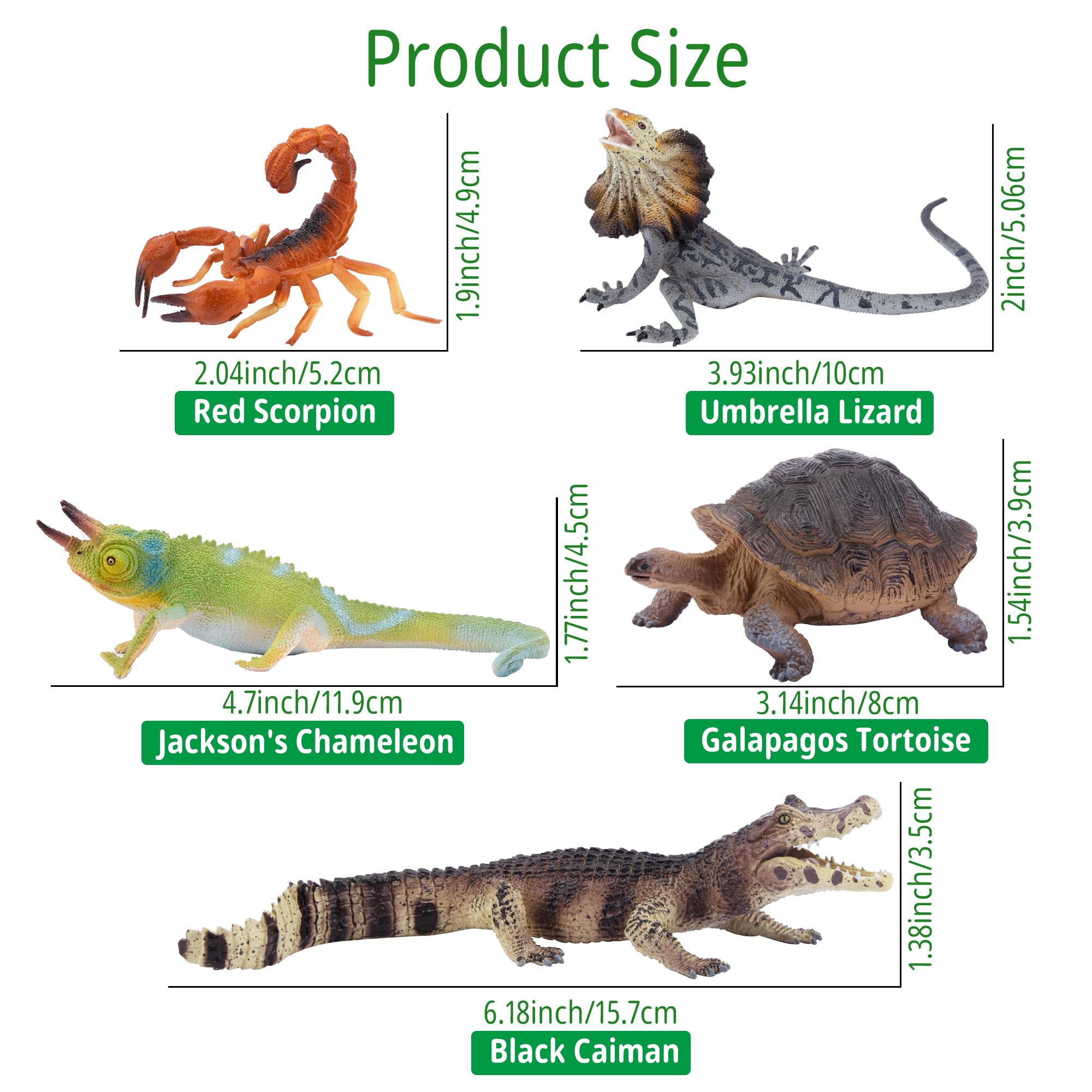 TOYMANY Umbrella Lizard figurine for interactive learning and display