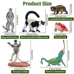 Toymany verreauxs sifaka figurine for display, education, and playful jungle scenes.