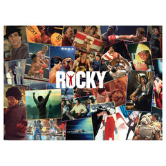 Toynk Rocky box art puzzle, ideal for display or gifting.