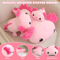 TOYSYM axolotl plush soft fabrics invite cozy snuggles.
