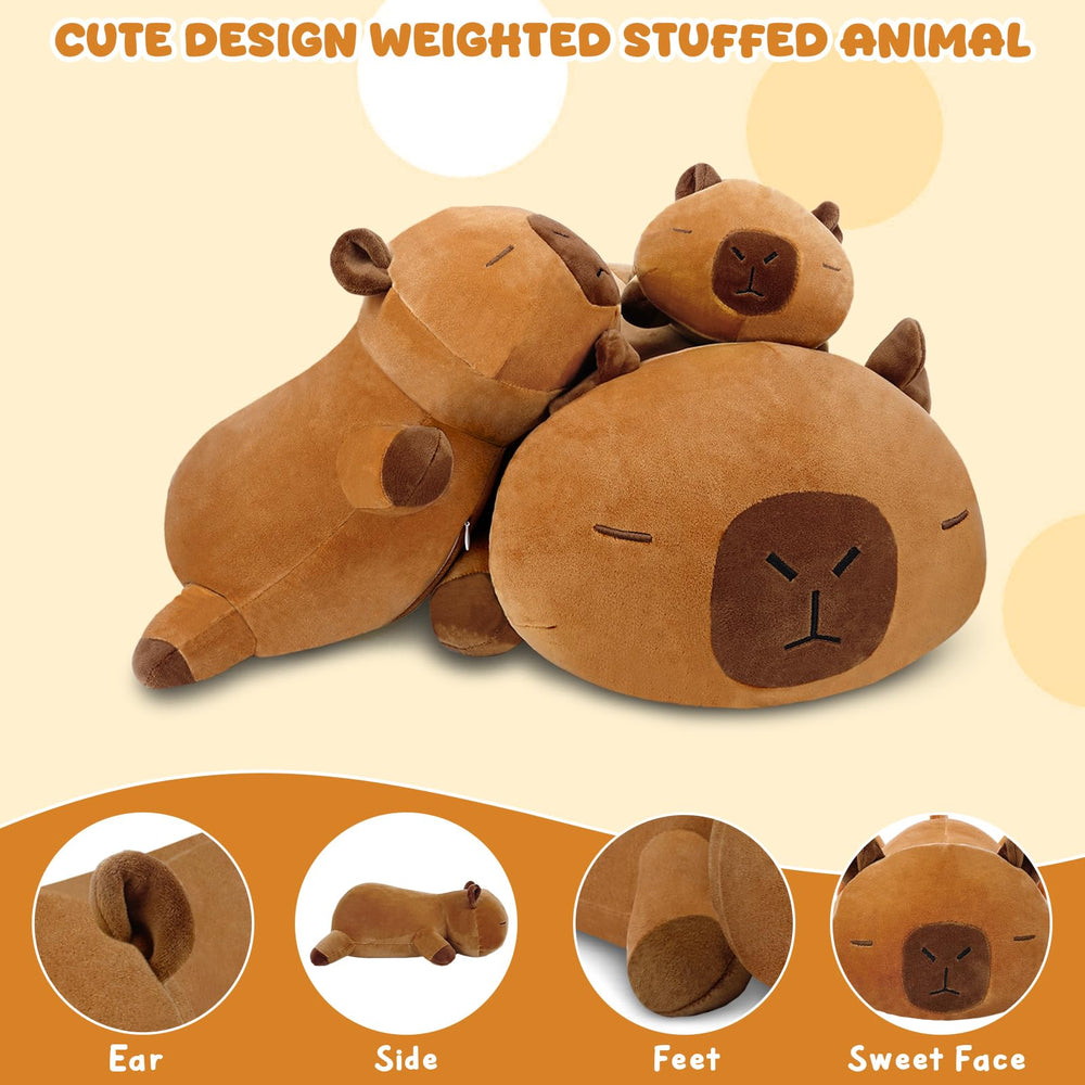 TOYSYM capybara plush bedroom snuggle ready for bedtime comfort.