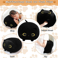 TOYSYM gift-ready plush ideal for birthdays and holidays