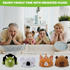 TOYSYM Triceratops gift-ready plush ideal for birthdays and holidays