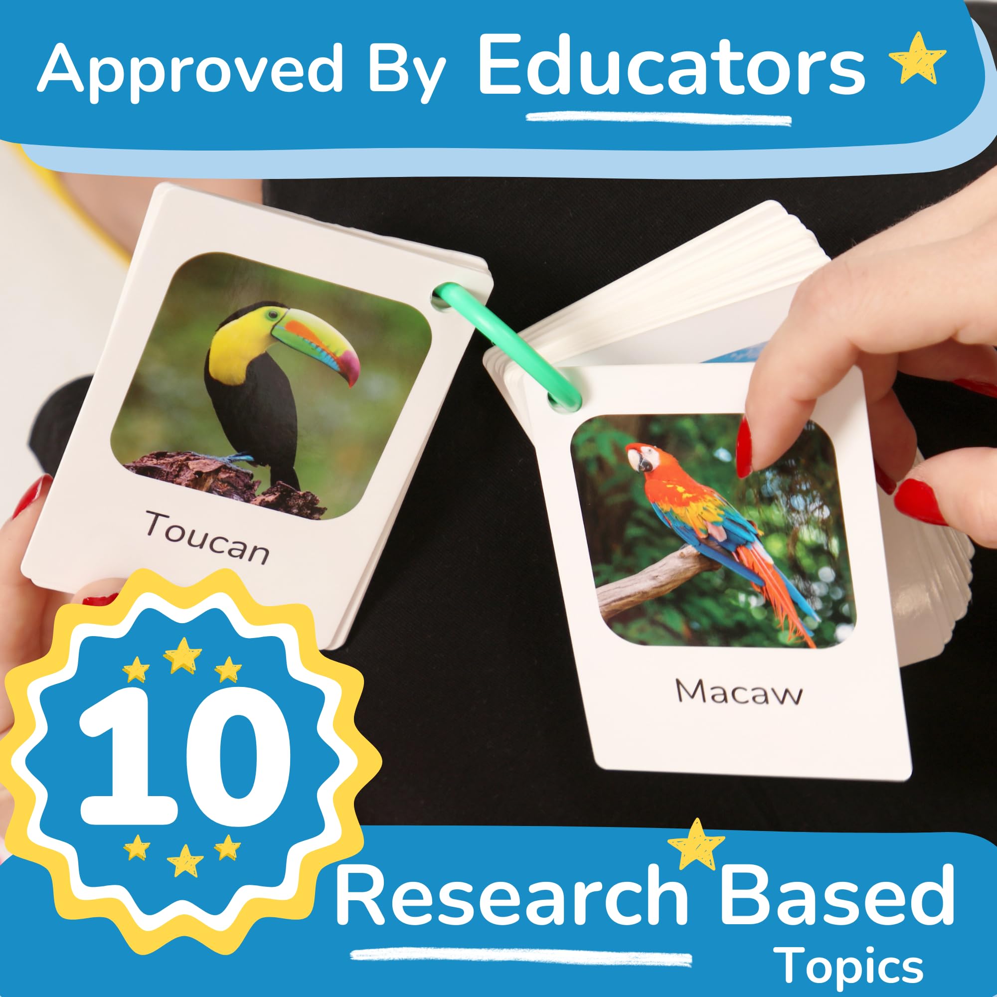 TOYVENTIVE color and shape vocabulary flash cards for toddlers' visual learning.