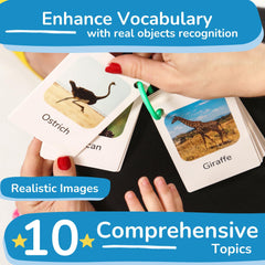 TOYVENTIVE 1+ year olds friendly cards make a thoughtful gift for curious toddlers.
