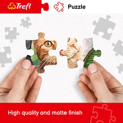 Trefl Vernazza puzzle assembly challenge encourages focus and patience.
