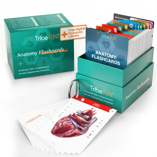 Tribe RN anatomy flashcards cover with bold visuals for quick study access