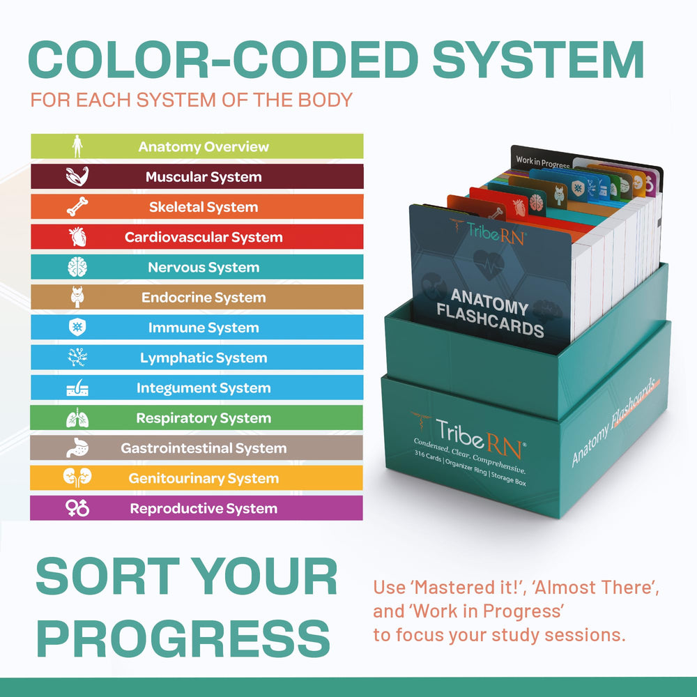 Tribe RN tear-resistant cards endure daily use in busy study sessions