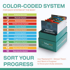 Tribe RN tear-resistant cards endure daily use in busy study sessions